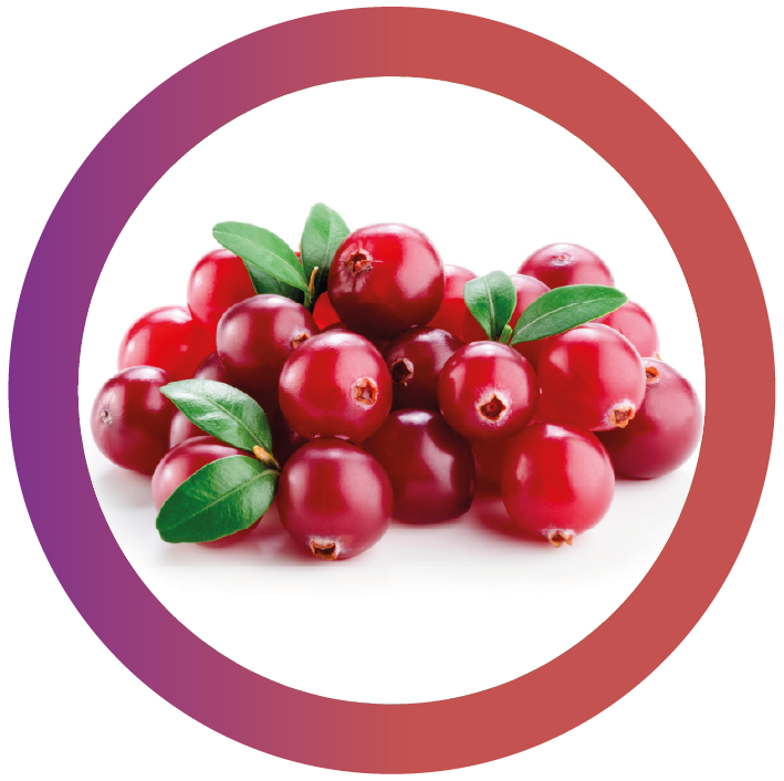 Mirtillo rosso