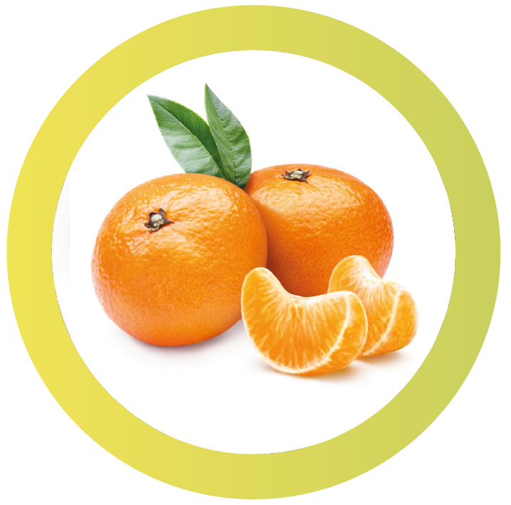 Mandarino