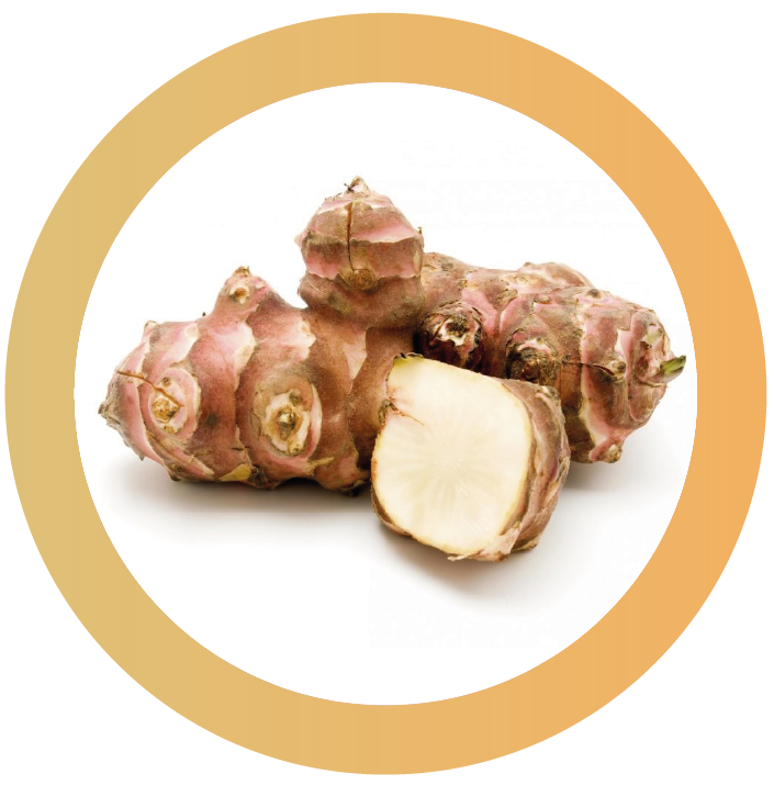 Curcuma