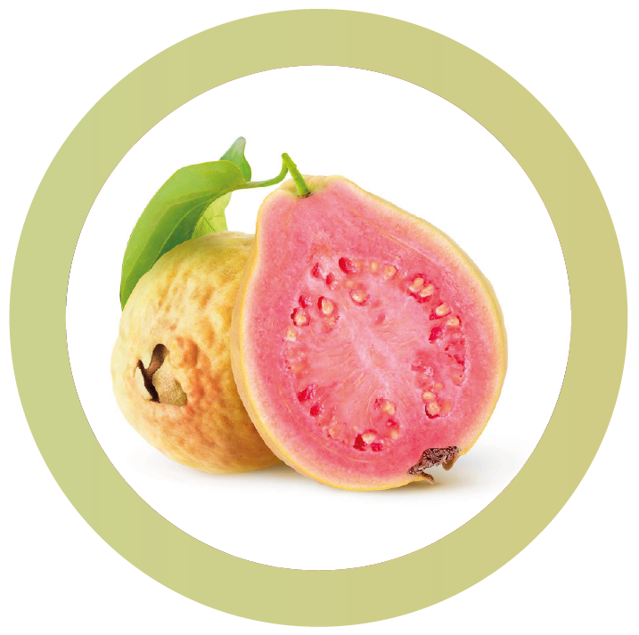 Guava bianca